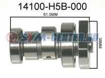 Распредвал с подшипником в сборе SYM RS 150 14100-H5B-000 ― | SYM-CENTER.ru - Мототехника SYM, запчасти, сервис