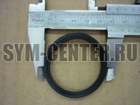 Кольцо уплотнительное термостата 483 SYM MAXSYM TL500; ATV600; ATV600LE(UA60A2-6); ATV600LE(UA60A3-6) 19301-REA-000 ― | SYM-CENTER.ru - Мототехника SYM, запчасти, сервис