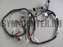 Жгут проводов для монтажа электрооборудования SYM MIO 50 32100-A7E-000 ― | SYM-CENTER.ru - Мототехника SYM, запчасти, сервис