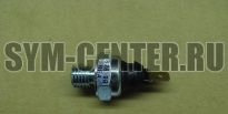 Датчик давления масла SYM ATV600; ATV600LE(UA60A2-6); ATV600LE(UA60A3-6) 37240-REA-000 ― | SYM-CENTER.ru - Мототехника SYM, запчасти, сервис