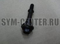Винт спец. М6х46 DD50 ― | SYM-CENTER.ru - Мототехника SYM, запчасти, сервис