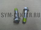 Винт с фланцем М8х35 SYM MIO 50; EuroX 50; DD 50; Jet Sport 50 90131-GW0-910