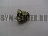 Гайка колпачковая 8мм SYM JOYRIDE 200i; VS 150 90443-107-000 ― | SYM-CENTER.ru - Мототехника SYM, запчасти, сервис