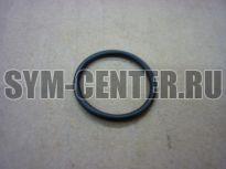 Кольцо уплотнительное 20.6х1.9 DD50  91304M7Q000 ― | SYM-CENTER.ru - Мототехника SYM, запчасти, сервис