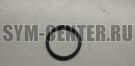 Кольцо уплотнительное редуктора 25х24 SYM ATV600; ATV600LE(UA60A2-6); ATV600LE(UA60A3-6) 91309-REA-000