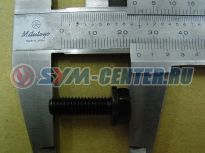 Винт с шайбой MAXSYM400, MAXSYM400ABS, MAXSYM400L, MAXSYM600iABS  934010602007 ― | SYM-CENTER.ru - Мототехника SYM, запчасти, сервис