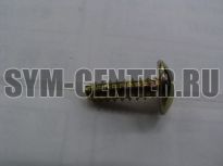 Винт самонарезающий 5х16 ORBIT50, GTS300, WOLF(T2)250, ATV300, ORBIT125, GTS250, JETEUROX100, JetEur  9390325320 ― | SYM-CENTER.ru - Мототехника SYM, запчасти, сервис