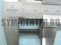 Винт самонарезающий 5х16 ATV600, JET4_125, SYMPHONY50SR, MAXSYM400, ALLO50, JOYMAX300i, JET4_50 ― | SYM-CENTER.ru - Мототехника SYM, запчасти, сервис