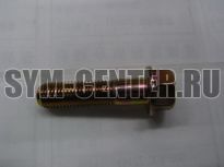 Винт с фланцем М10х40 JET4_125, GTS300, ALLO50, JOYMAX300i, JET4_50, JET4NAKED, JOYRIDE200, JOYRIDE2  958011004008 ― | SYM-CENTER.ru - Мототехника SYM, запчасти, сервис